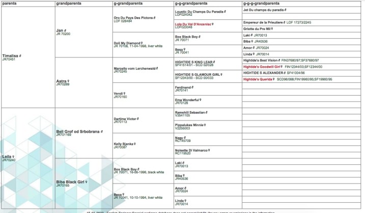 Screen Shot 2023-03-15 at 17.31.20